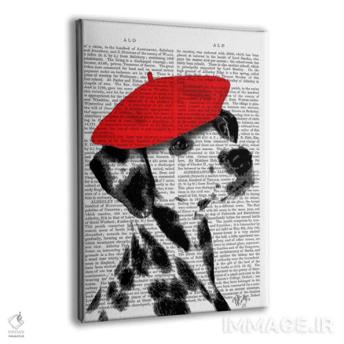 تابلو دکوراتیو دالماتین با بریت قرمز ۲ اثر فب فانکی - نمای پرسپکتیو محصول