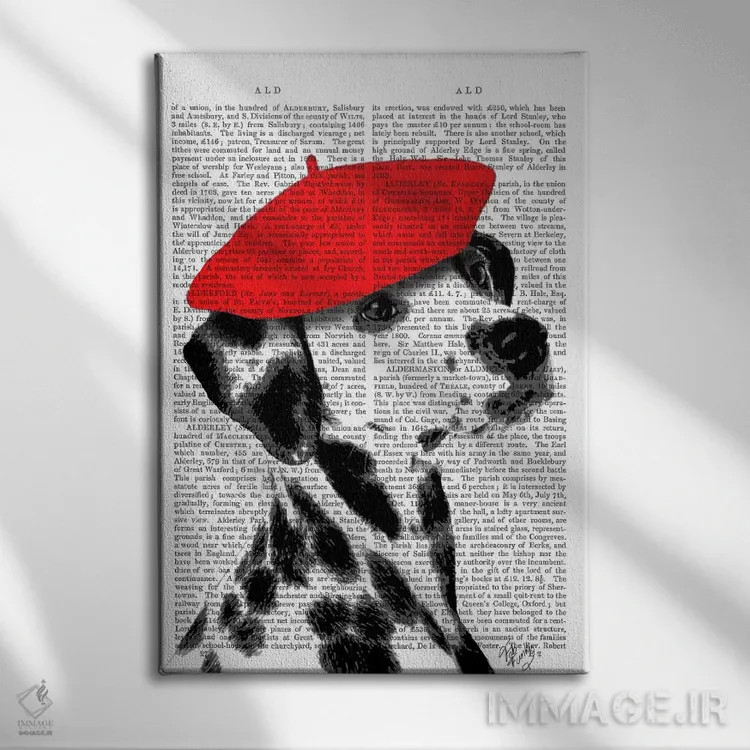 تابلو دکوراتیو دالماتین با بریت قرمز ۲ اثر فب فانکی - نمای روبهرو روی دیوار