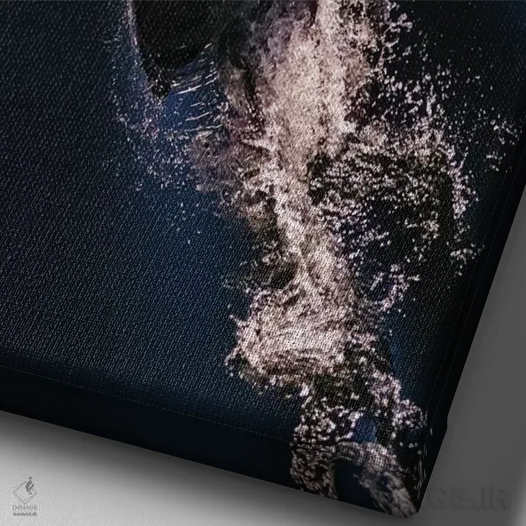 تابلو دکوراتیو شیلی، پاتاگونیا، منطقه ی دریاچه ها. دلفین پیل در استرو کاو… اثر فردریک نورسل - نمای نزدیک بافت بوم