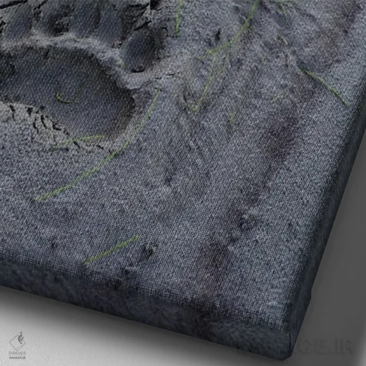 تابلو دکوراتیو آمریکا، آلاسکا، منطقه حفاظت شده نواتاک، ردپای تازه از یک خ… اثر فردریک نورسل - نمای نزدیک بافت بوم