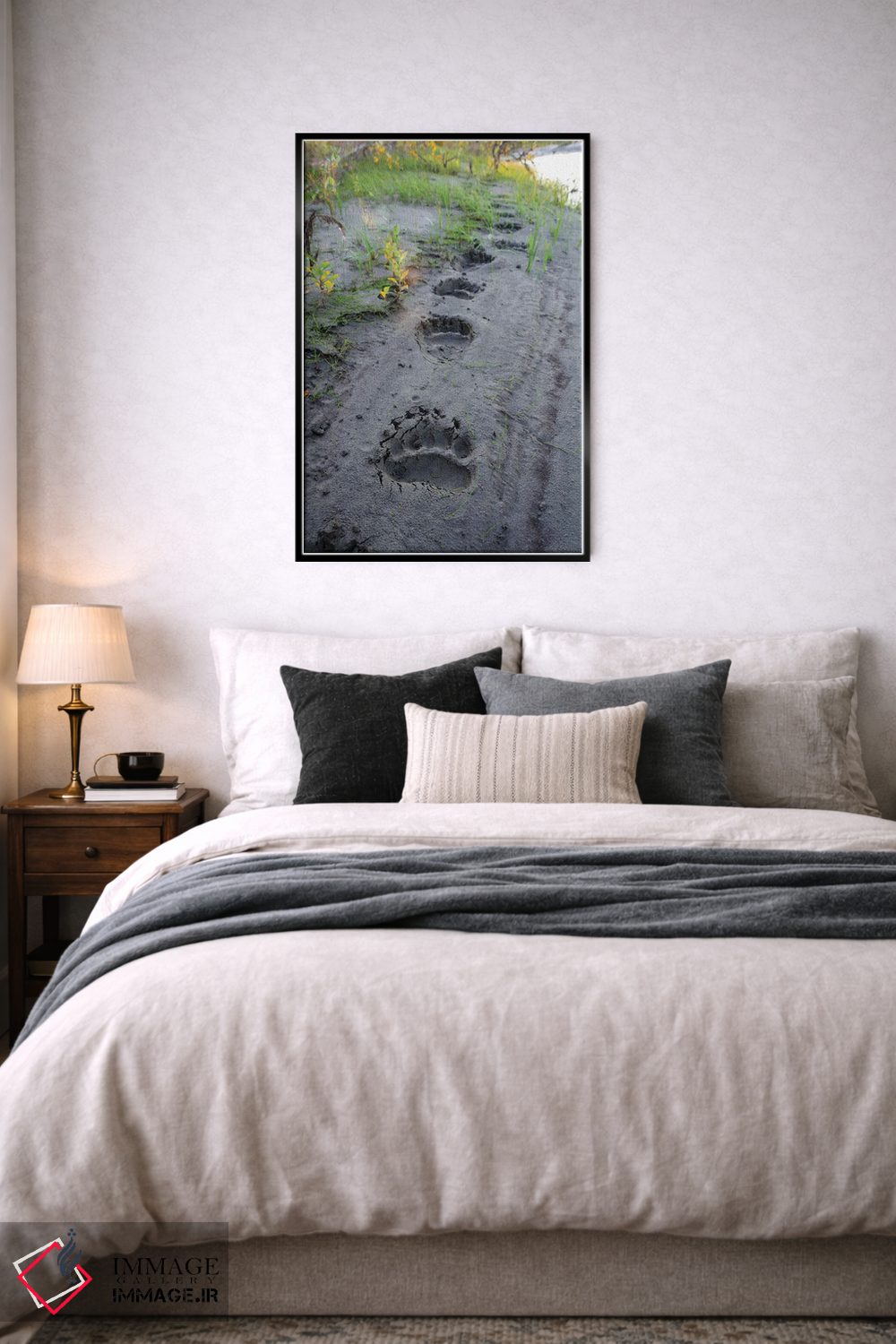 تابلو دکوراتیو آمریکا، آلاسکا، منطقه حفاظت شده نواتاک، ردپای تازه از یک خ… اثر فردریک نورسل - D6B