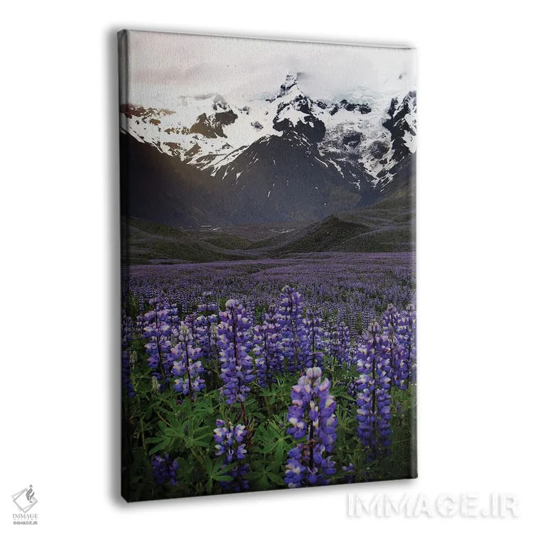 تابلو دکوراتیو در جاده های ایسلند اثر فلوریان اولبرشتس - نمای پرسپکتیو محصول