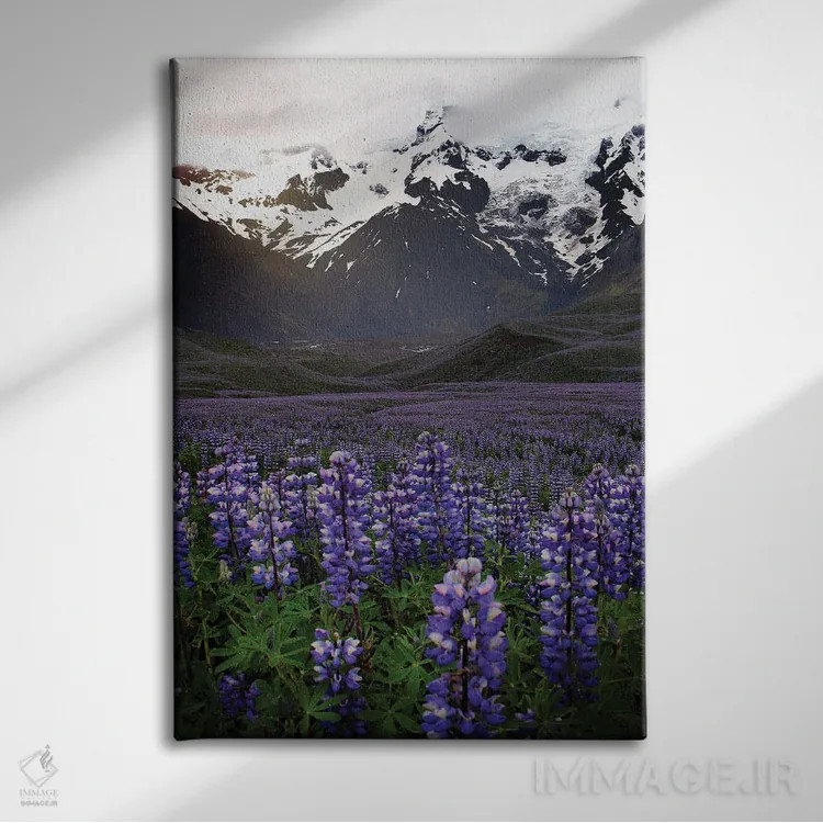 تابلو دکوراتیو در جاده های ایسلند اثر فلوریان اولبرشتس - نمای روبهرو روی دیوار