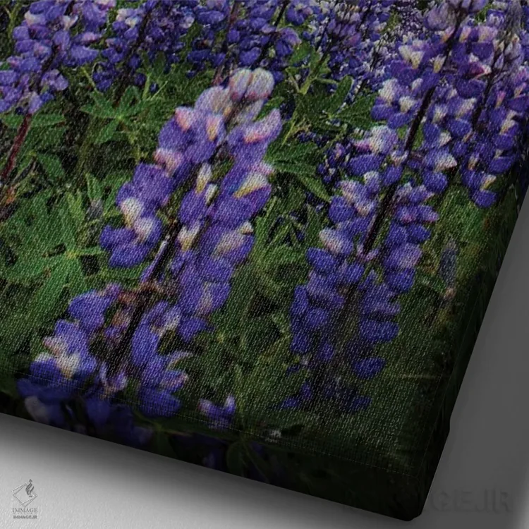 تابلو دکوراتیو در جاده های ایسلند اثر فلوریان اولبرشتس - نمای نزدیک بافت بوم