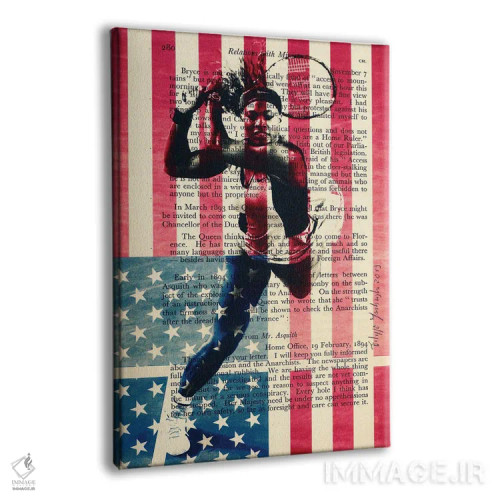 تابلو دکوراتیو سرنا ویلیامز اثر فیلیپو ایمبریگی - نمای پرسپکتیو محصول