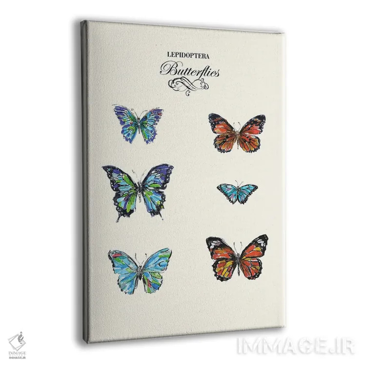 تابلو دکوراتیو پروانه ها اثر فانیتسا پترو - نمای پرسپکتیو محصول