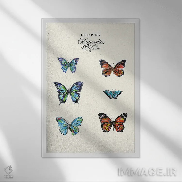 تابلو دکوراتیو پروانه ها اثر فانیتسا پترو - نمای قابدار سفید