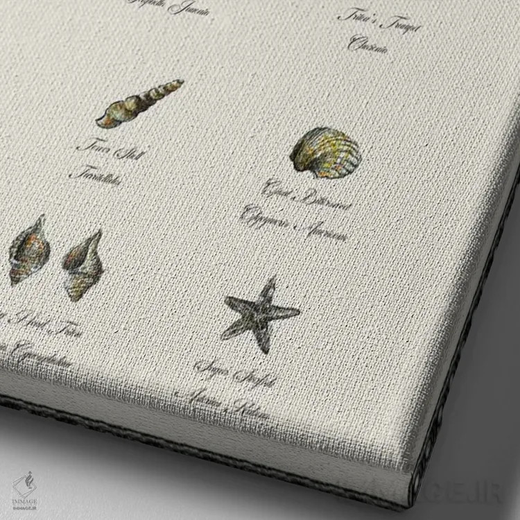 تابلو دکوراتیو جدول شناسایی صدف ها اثر فانیتسا پترو - نمای نزدیک بافت بوم