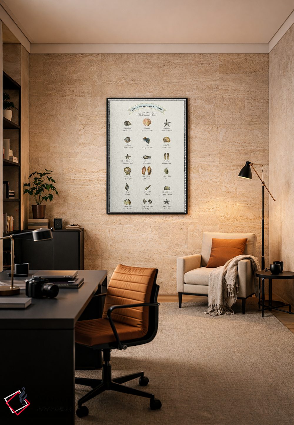 تابلو دکوراتیو جدول شناسایی صدف ها اثر فانیتسا پترو - D4B