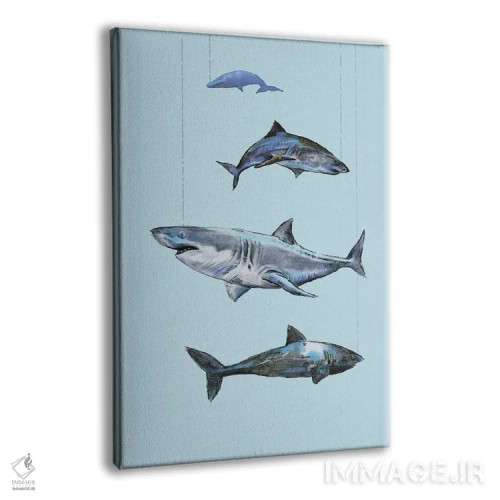 تابلو دکوراتیو چهار کوسه اثر فانیتسا پترو - نمای پرسپکتیو محصول