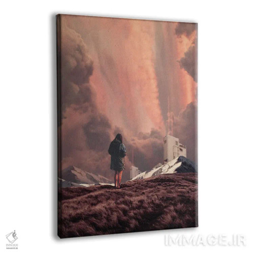 تابلو دکوراتیو "کشف ناگهانی" اثر فرانک موس - نمای پرسپکتیو محصول