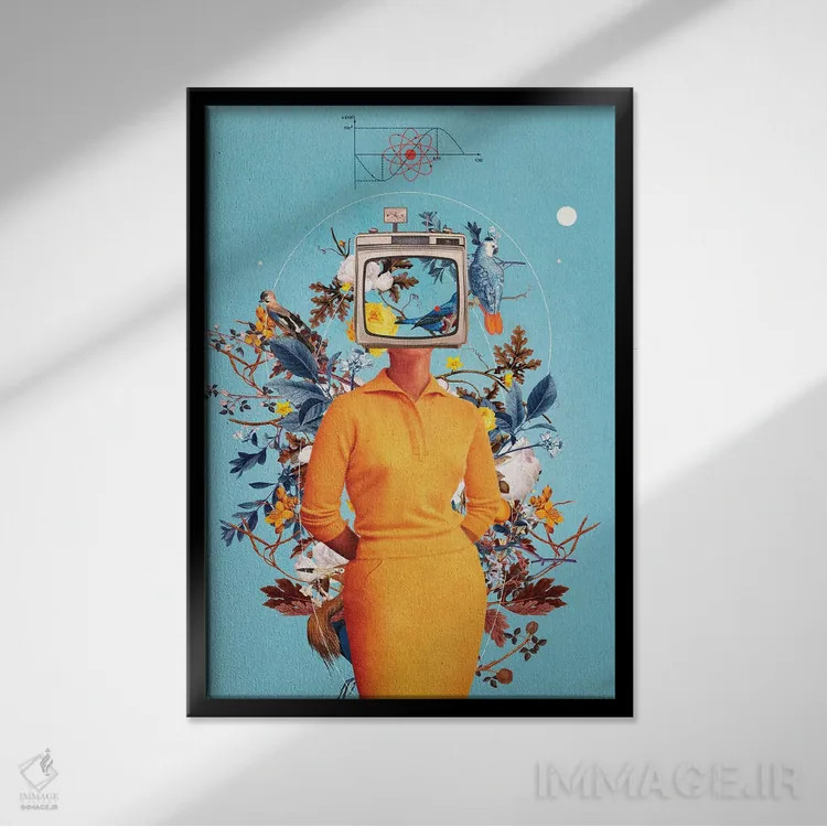 تابلو دکوراتیو "به نمایشگرها رویاهایت را نده" اثر فرانک موس - نمای قابدار مشکی