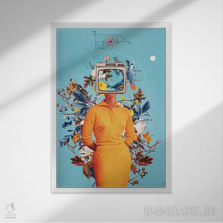 تابلو دکوراتیو "به نمایشگرها رویاهایت را نده" اثر فرانک موس - نمای قابدار سفید