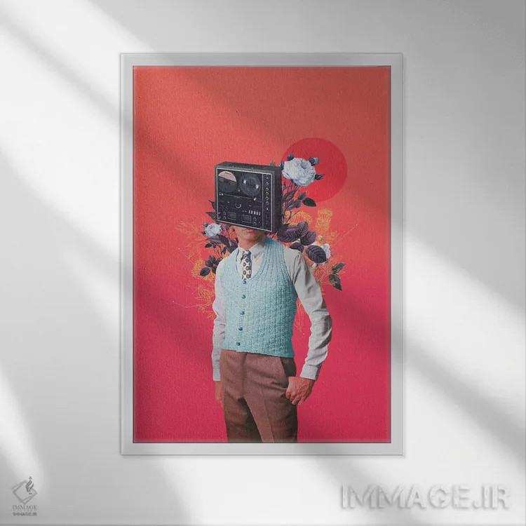 تابلو دکوراتیو "فونوهد" اثر فرانک موس - نمای قابدار سفید