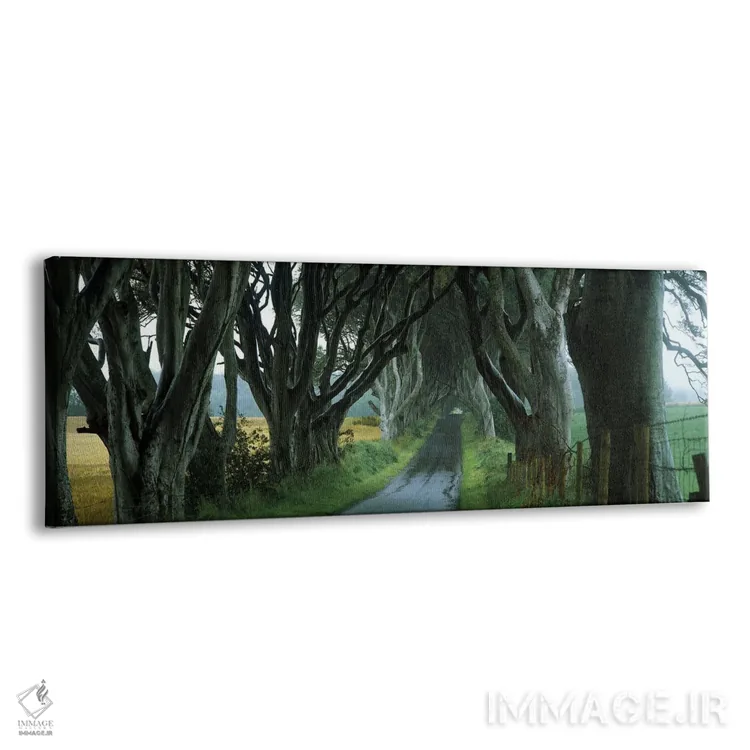 تابلو دکوراتیو Armoy, County Antrim, Northern Ireland, United Kingdom"… اثر پانورامیک ایمجز - نمای پرسپکتیو محصول