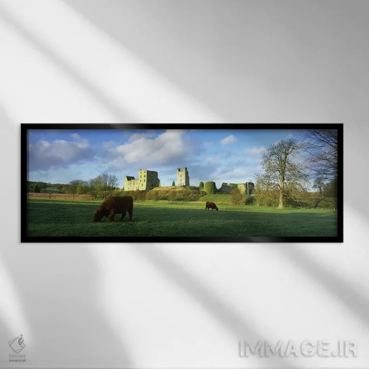 تابلو دکوراتیو Helmsley, North Yorkshire, England" - "گاوهای هایلند در… اثر پانورامیک ایمجز - نمای قابدار مشکی
