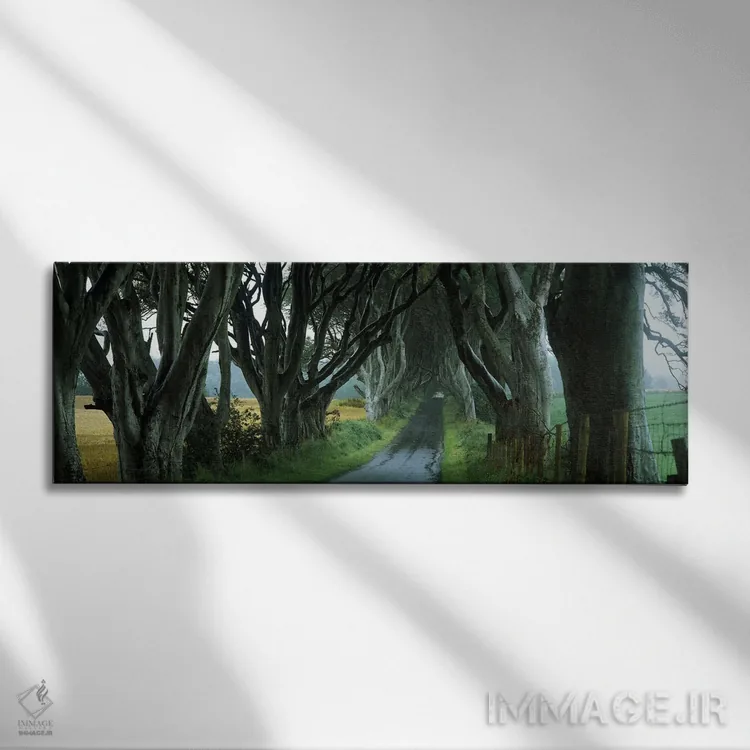 تابلو دکوراتیو Armoy, County Antrim, Northern Ireland, United Kingdom"… اثر پانورامیک ایمجز - نمای روبهرو روی دیوار