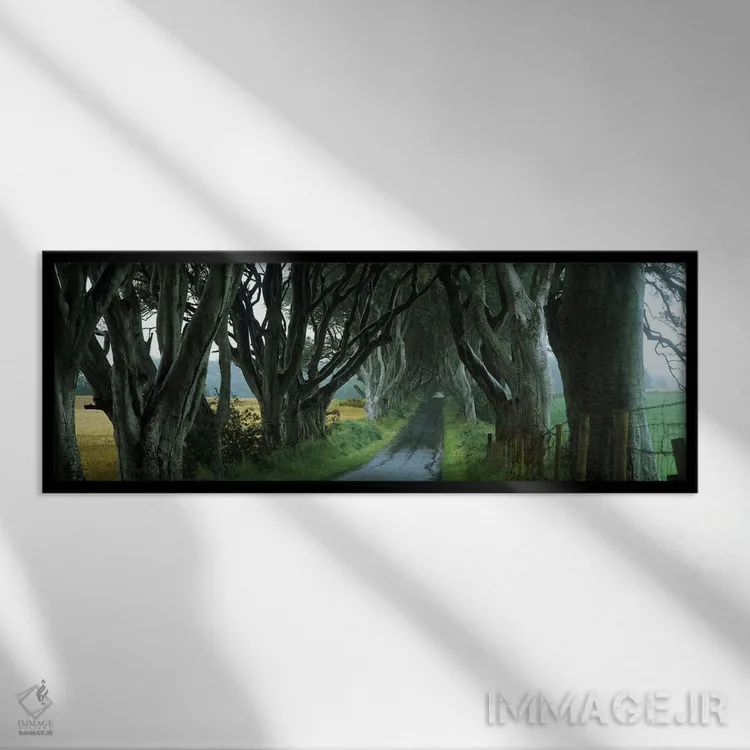 تابلو دکوراتیو Armoy, County Antrim, Northern Ireland, United Kingdom"… اثر پانورامیک ایمجز - نمای قابدار مشکی