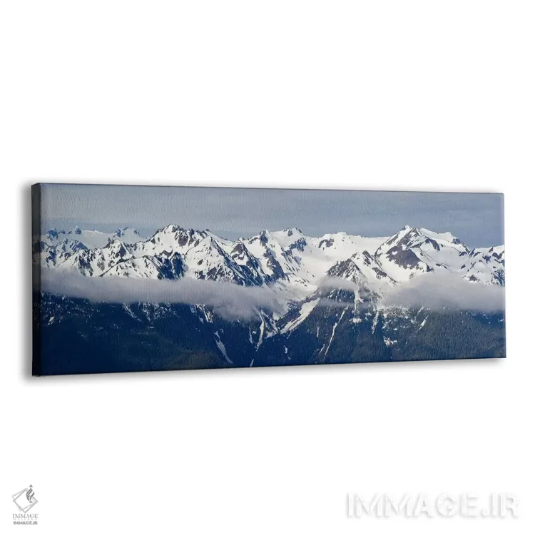 تابلو دکوراتیو Hurricane Ridge, Olympic National Park, Washington Stat… اثر پانورامیک ایمجز - نمای پرسپکتیو محصول