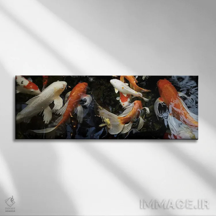 تابلو دکوراتیو ماهی های کوی در حال شنا زیر آب اثر پانورامیک ایمجز - نمای روبهرو روی دیوار
