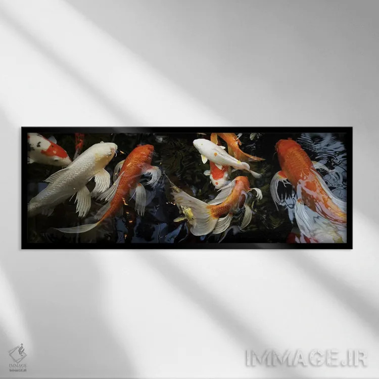تابلو دکوراتیو ماهی های کوی در حال شنا زیر آب اثر پانورامیک ایمجز - نمای قابدار مشکی