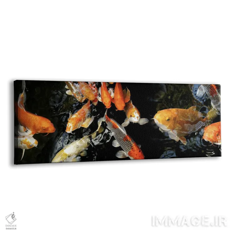 تابلو دکوراتیو ماهی های کوی در حال شنا زیر آب - شماره ۲ اثر پانورامیک ایمجز - نمای پرسپکتیو محصول