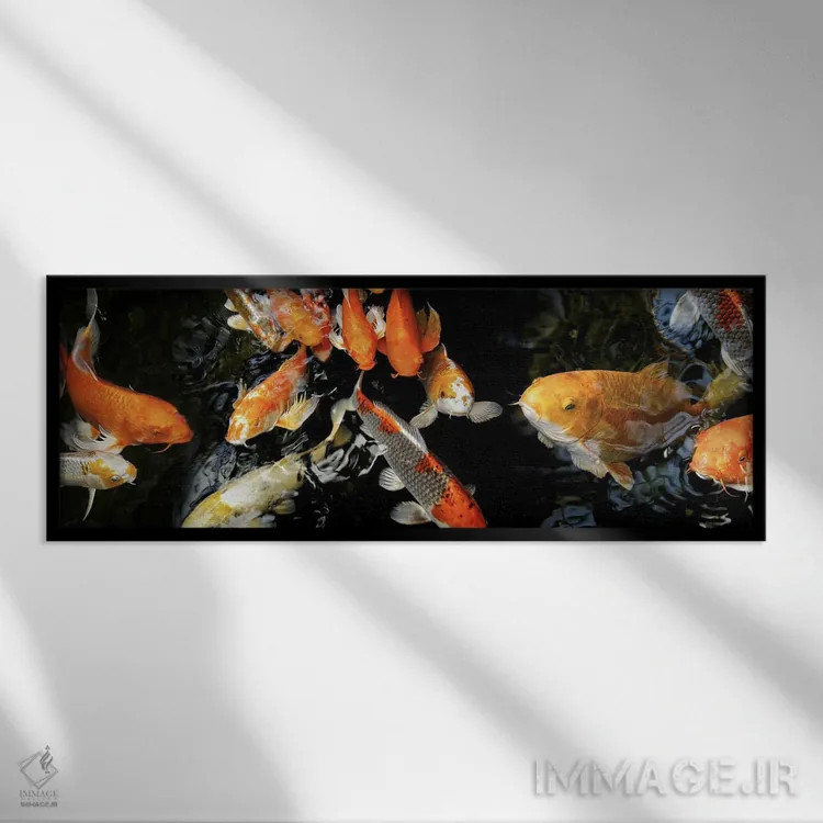 تابلو دکوراتیو ماهی های کوی در حال شنا زیر آب - شماره ۲ اثر پانورامیک ایمجز - نمای قابدار مشکی
