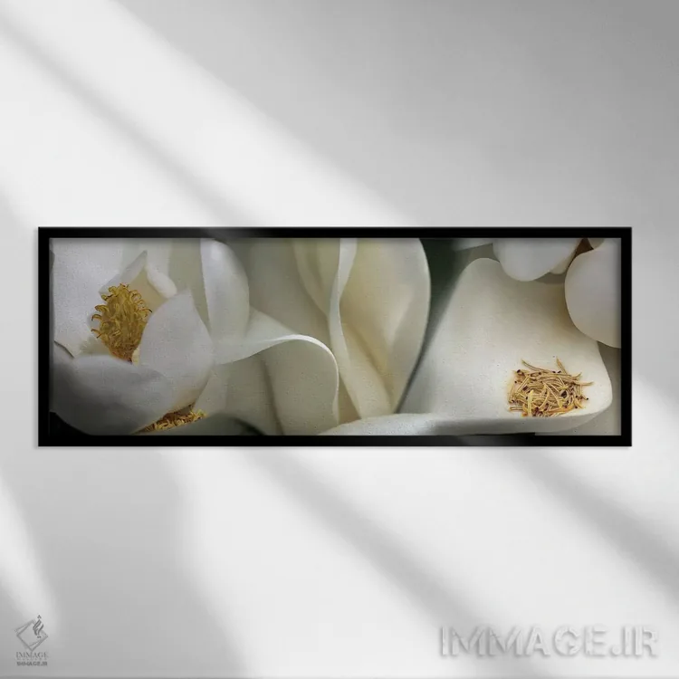 تابلو دکوراتیو گل های مگنولیا بهشتی اثر پانورامیک ایمجز - نمای قابدار مشکی