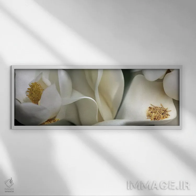 تابلو دکوراتیو گل های مگنولیا بهشتی اثر پانورامیک ایمجز - نمای قابدار سفید