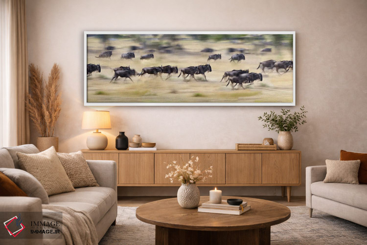 تابلو دکوراتیو Tanzania" - "گله ای از گاوهای وحشی در حال دویدن در یک م… اثر پانورامیک ایمجز - D2W