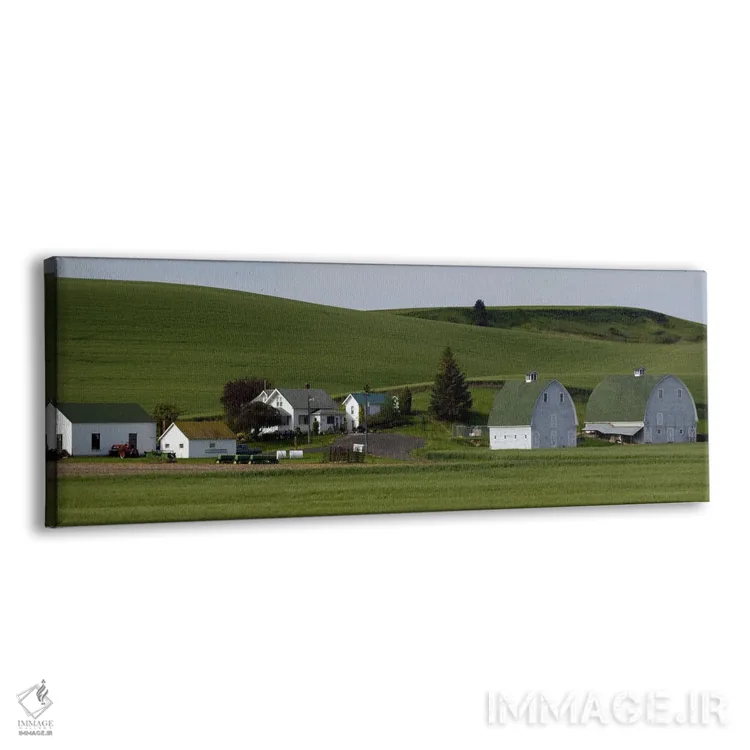 تابلو دکوراتیو مزرعه با دو انبار در مزارع گندم، ایالت واشنگتن، ایالات… اثر پانورامیک ایمجز - نمای پرسپکتیو محصول