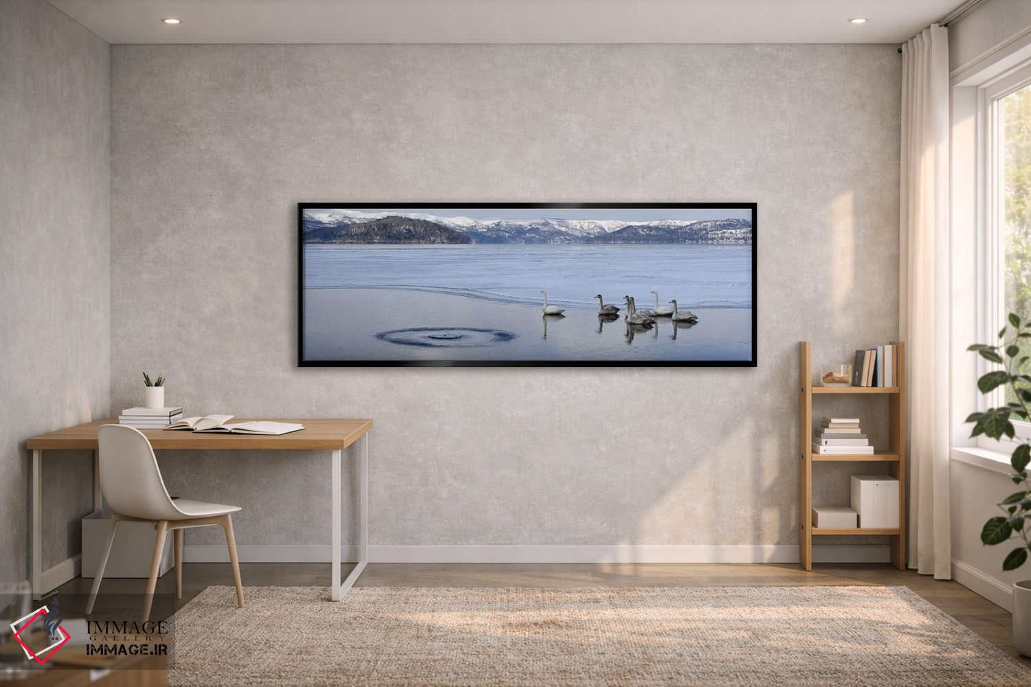 تابلو دکوراتیو قوهای هوپر بر روی دریاچه یخ زده، دریاچه کوشارو، پارک مل… اثر پانورامیک ایمجز - D1B