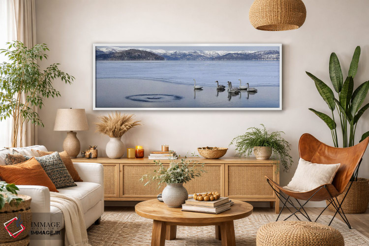 تابلو دکوراتیو قوهای هوپر بر روی دریاچه یخ زده، دریاچه کوشارو، پارک مل… اثر پانورامیک ایمجز - D2W