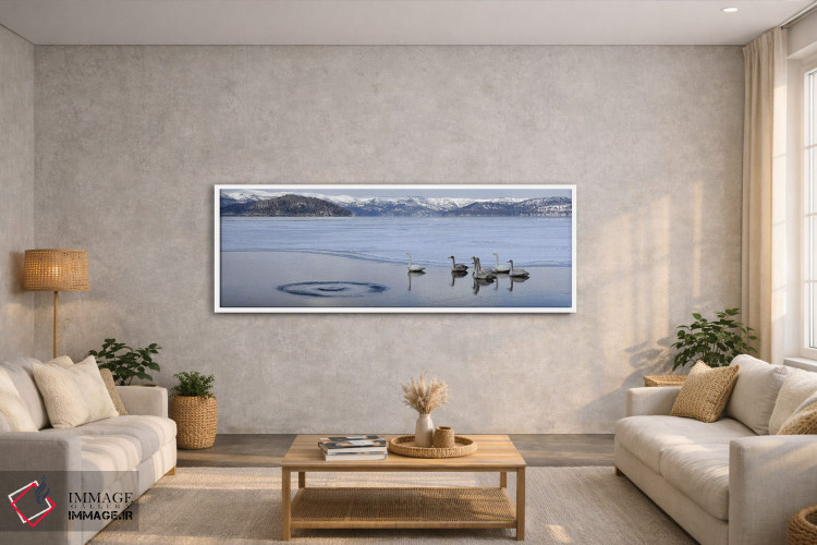 تابلو دکوراتیو قوهای هوپر بر روی دریاچه یخ زده، دریاچه کوشارو، پارک مل… اثر پانورامیک ایمجز - D3W
