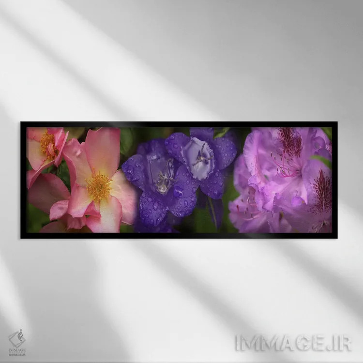 تابلو دکوراتیو نمای نزدیک از گل ها اثر پانورامیک ایمجز - نمای قابدار مشکی
