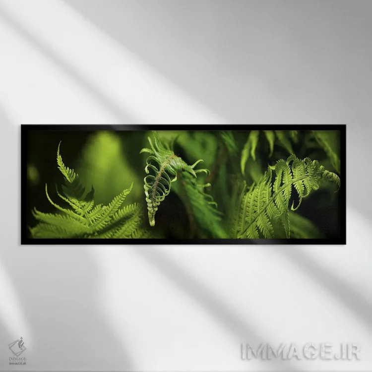 تابلو دکوراتیو نمای نزدیک از سرخس ها اثر پانورامیک ایمجز - نمای قابدار مشکی