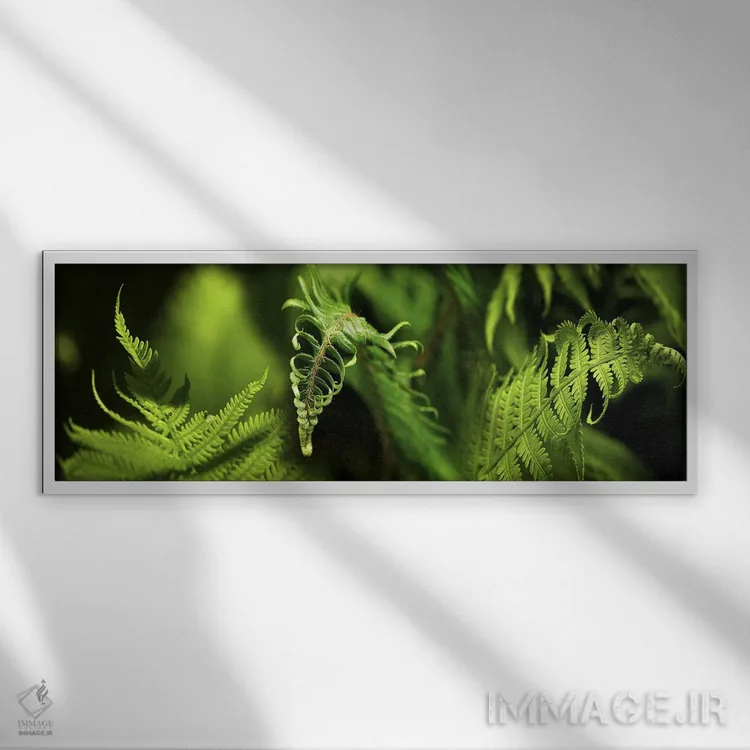 تابلو دکوراتیو نمای نزدیک از سرخس ها اثر پانورامیک ایمجز - نمای قابدار سفید