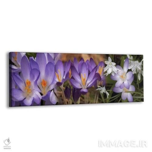 تابلو دکوراتیو جزئیات گل ها اثر پانورامیک ایمجز - نمای پرسپکتیو محصول