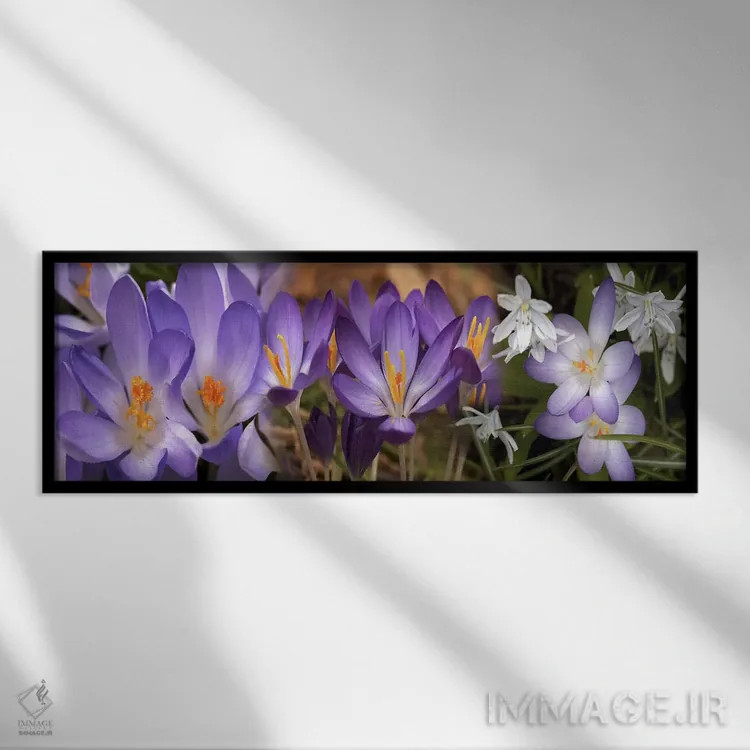 تابلو دکوراتیو جزئیات گل ها اثر پانورامیک ایمجز - نمای قابدار مشکی