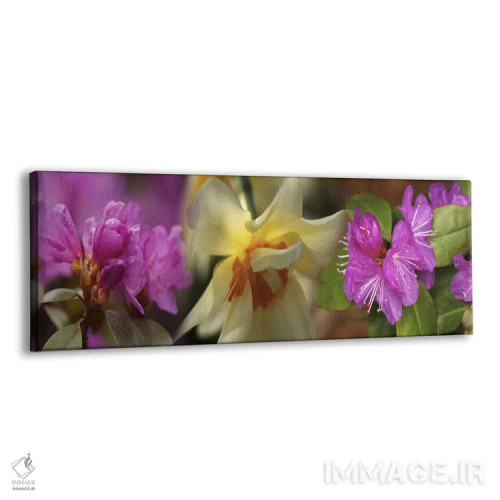 تابلو دکوراتیو جزئیات گل ها اثر پانورامیک ایمجز - نمای پرسپکتیو محصول