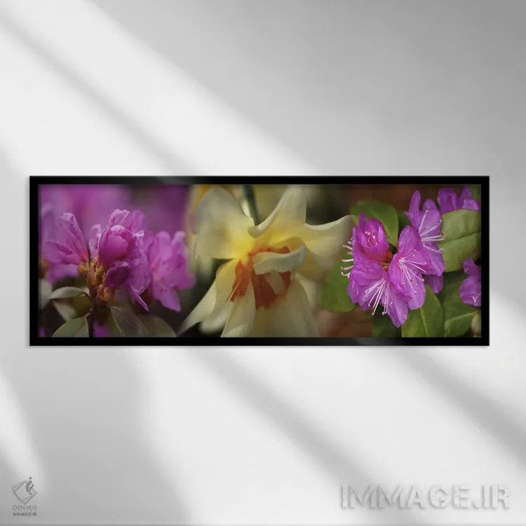 تابلو دکوراتیو جزئیات گل ها اثر پانورامیک ایمجز - نمای قابدار مشکی