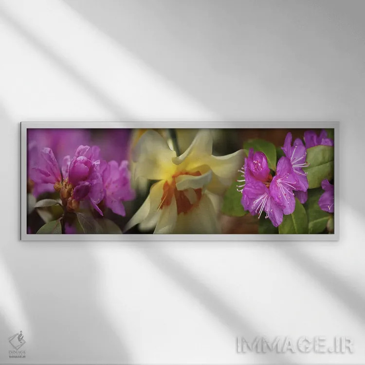 تابلو دکوراتیو جزئیات گل ها اثر پانورامیک ایمجز - نمای قابدار سفید