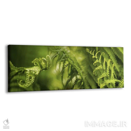 تابلو دکوراتیو نمای نزدیک از تصاویر متعدد سرخس ها اثر پانورامیک ایمجز - نمای پرسپکتیو محصول