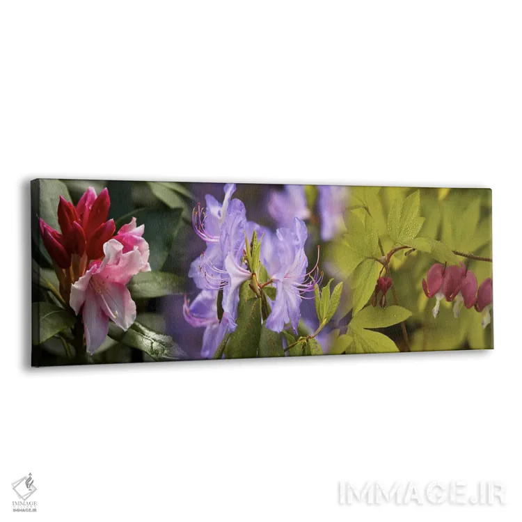 تابلو دکوراتیو جزئیات گل های رنگارنگ روشن اثر پانورامیک ایمجز - نمای پرسپکتیو محصول