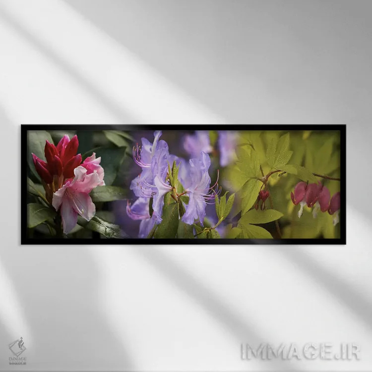 تابلو دکوراتیو جزئیات گل های رنگارنگ روشن اثر پانورامیک ایمجز - نمای قابدار مشکی