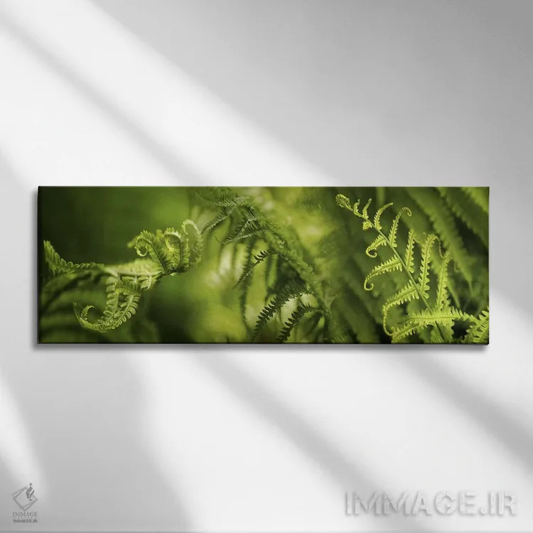 تابلو دکوراتیو نمای نزدیک از تصاویر متعدد سرخس ها اثر پانورامیک ایمجز - نمای روبهرو روی دیوار