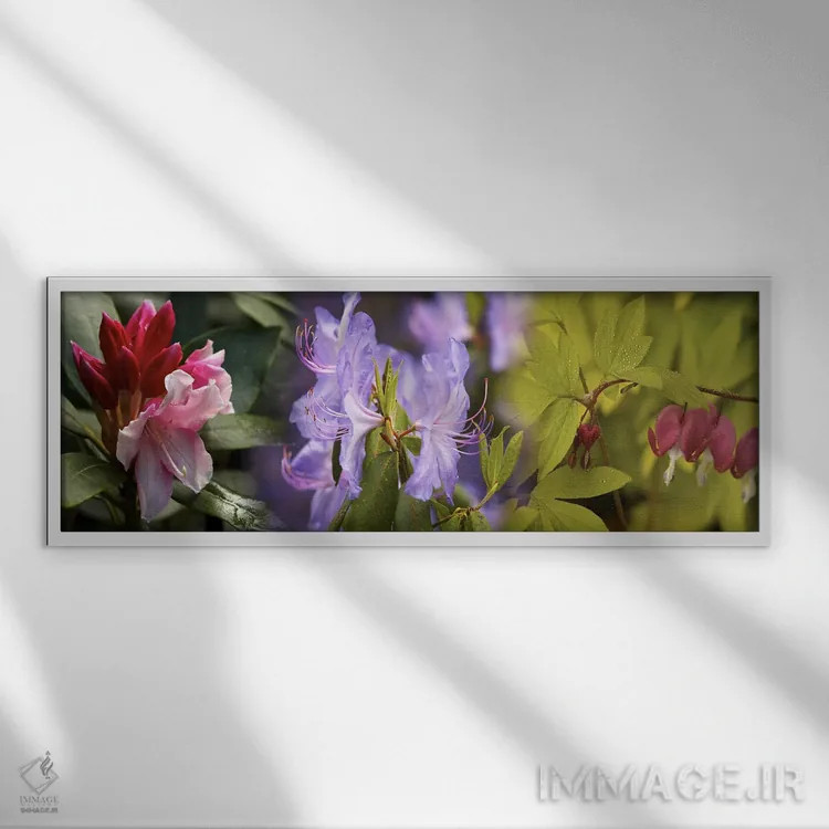 تابلو دکوراتیو جزئیات گل های رنگارنگ روشن اثر پانورامیک ایمجز - نمای قابدار سفید
