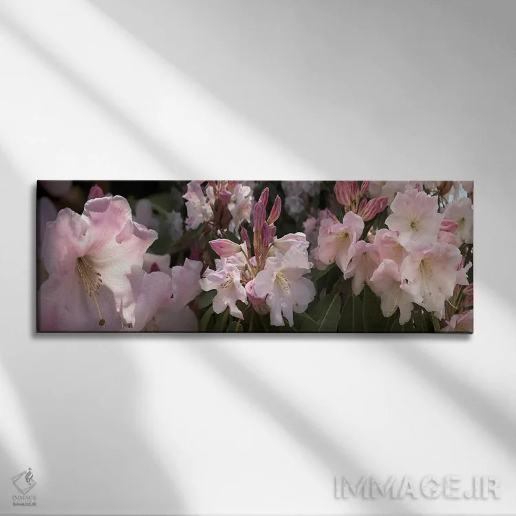 تابلو دکوراتیو تصاویر متعدد از گل های رودودندرون صورتی اثر پانورامیک ایمجز - نمای روبهرو روی دیوار