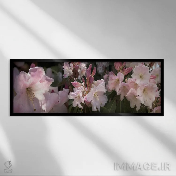 تابلو دکوراتیو تصاویر متعدد از گل های رودودندرون صورتی اثر پانورامیک ایمجز - نمای قابدار مشکی