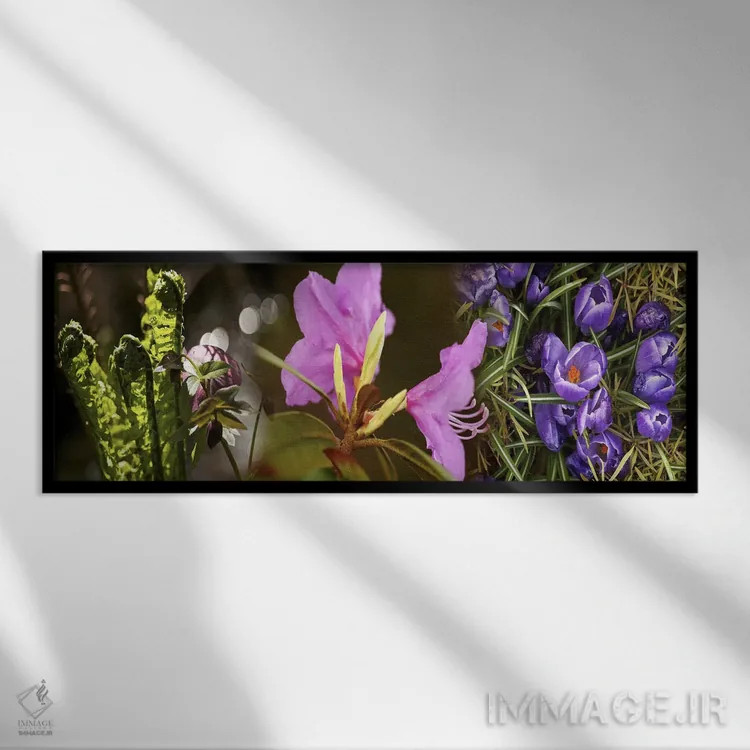 تابلو دکوراتیو جزئیات گل های بهار زودرس اثر پانورامیک ایمجز - نمای قابدار مشکی